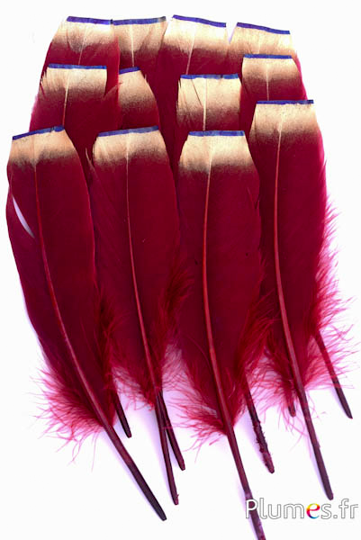 Gans mit goldener geschnittener Spitze - 15–21 cm - bordeaux  